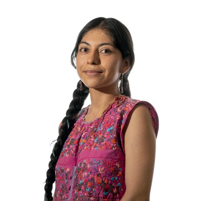 Danaé Guadalupe Floreán Reyes